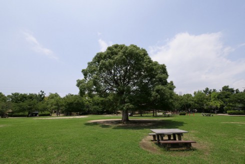元浜緑地にある芝生広場