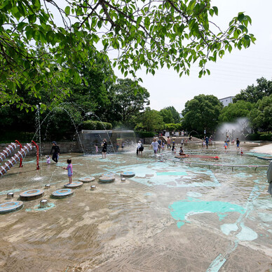 元浜緑地わんぱく池