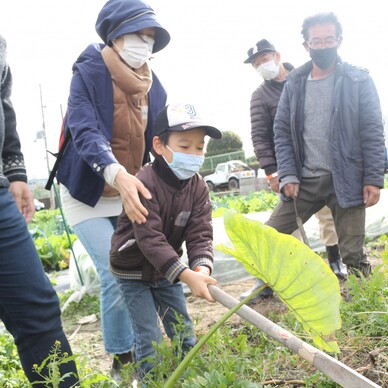 第26回みんなの尼崎大学オープンキャンパス「尼崎の農業を掘って食べる日」