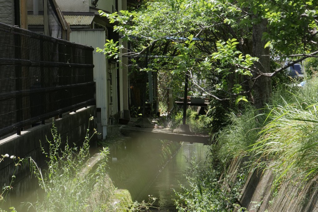 写真、ホタルが見られる西武庫公園を囲む小川