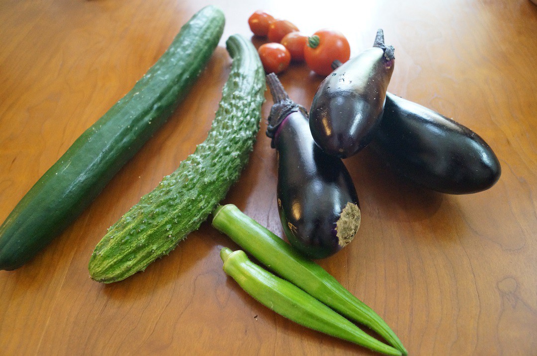 庭で採れたみずみずしい野菜