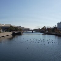 運河の風景