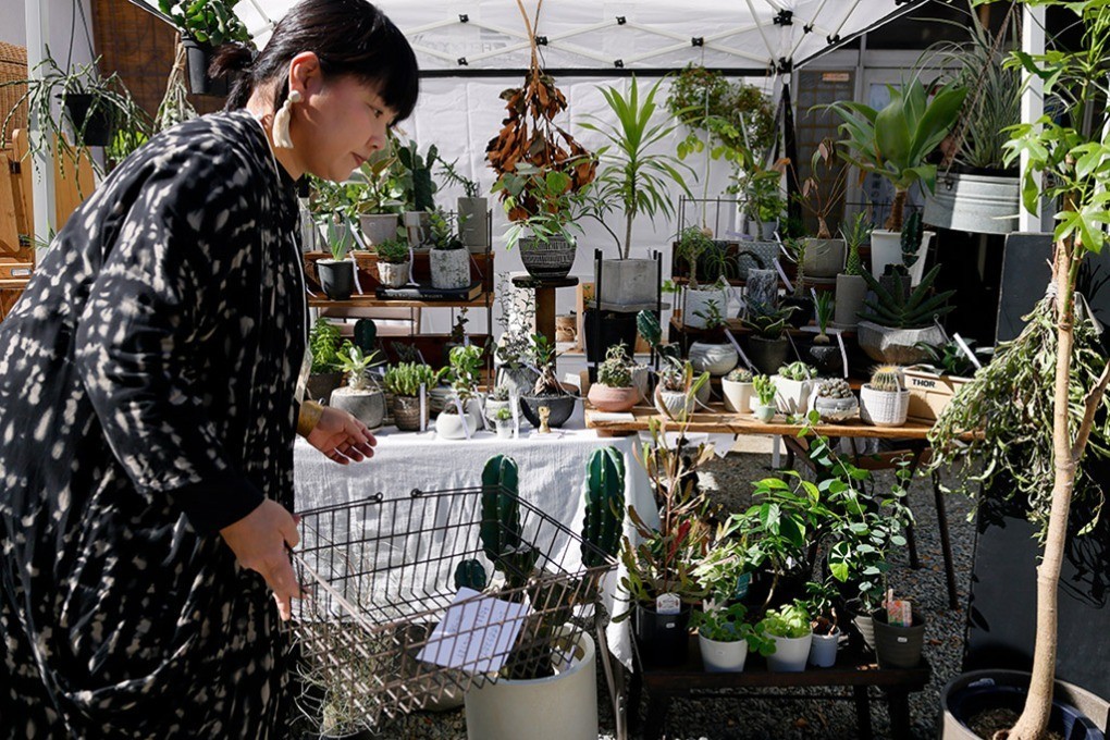 植物を並べる出店者