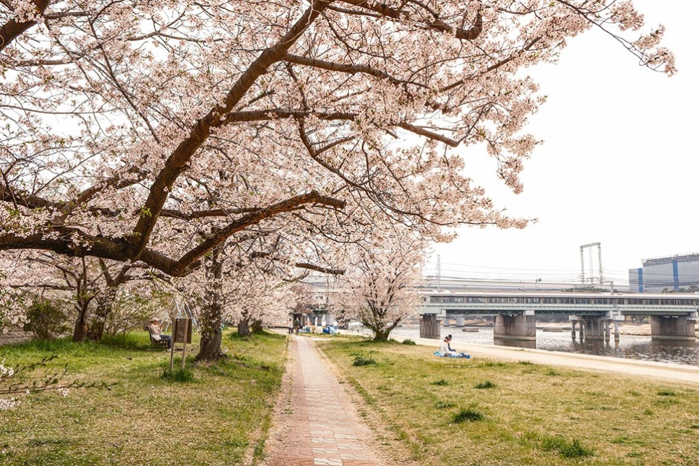 写真、武庫川河川敷から阪神武庫川駅を望む