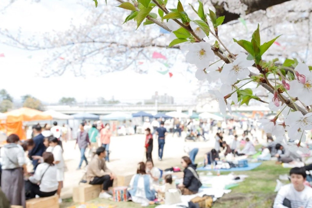 写真、武庫川桜マルフェスの様子