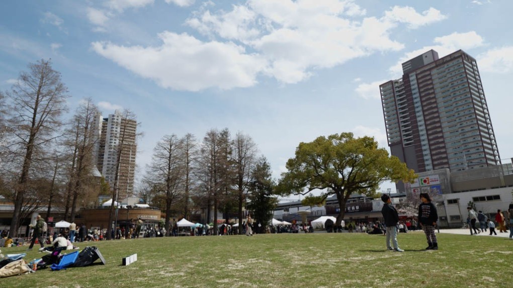 写真、芝生広場