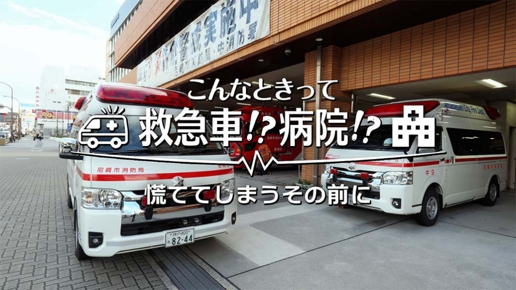 写真、動画サムネイル