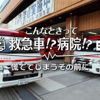 写真、動画サムネイル